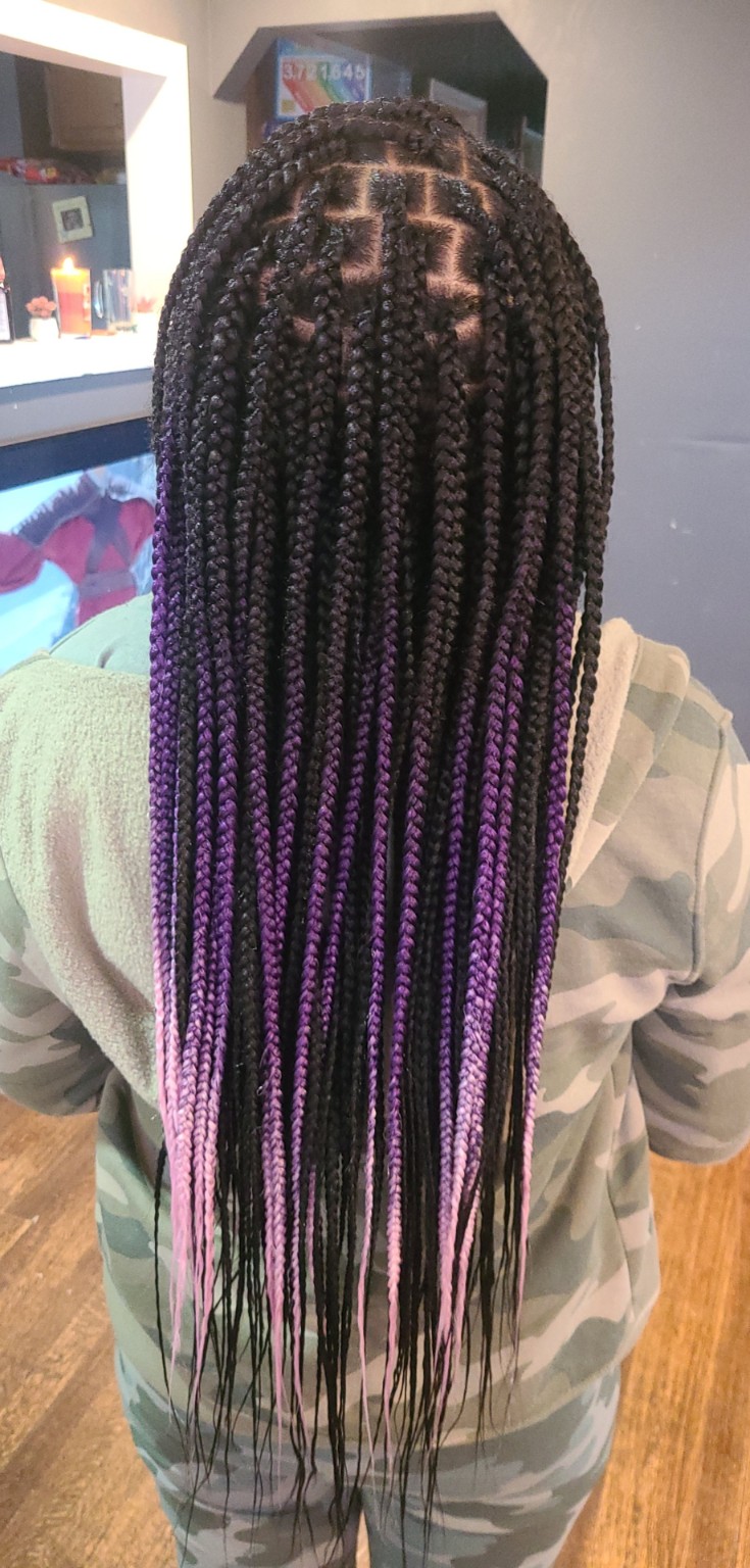 Long black and purple ombre box braids viewed from the back